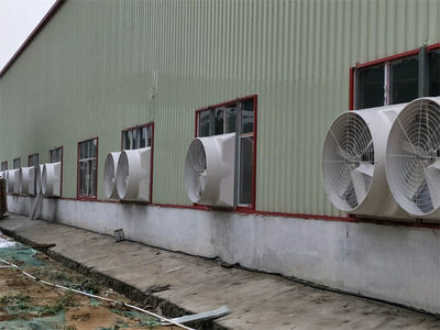 注塑厂老板选购负压风机 掌握5大要点，轻松避开选购误区